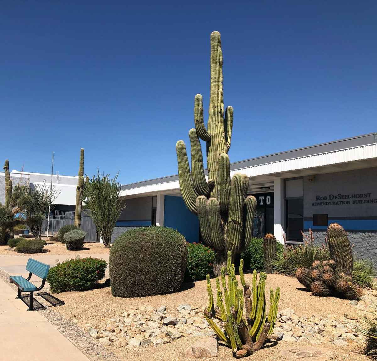 Cactus High School